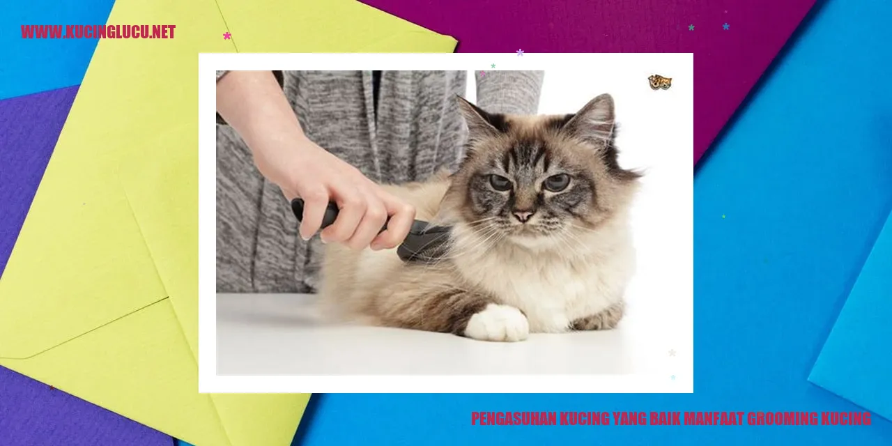 Kucing dengan bulu halus setelah grooming