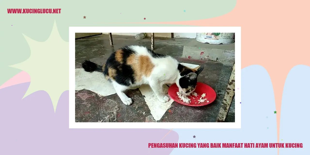 Kucing Bahagia dengan Hati Ayam