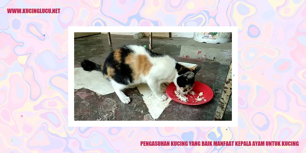 Gambar Kucing Menikmati Kepala Ayam
