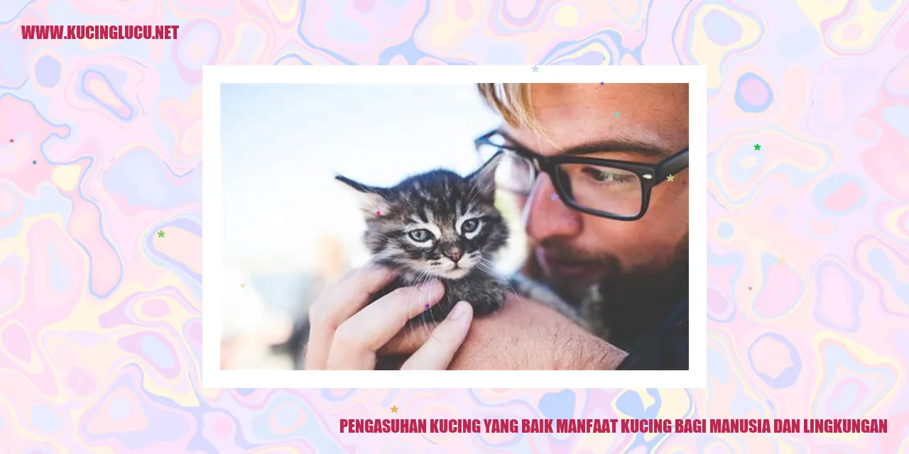 Foto Kucing
