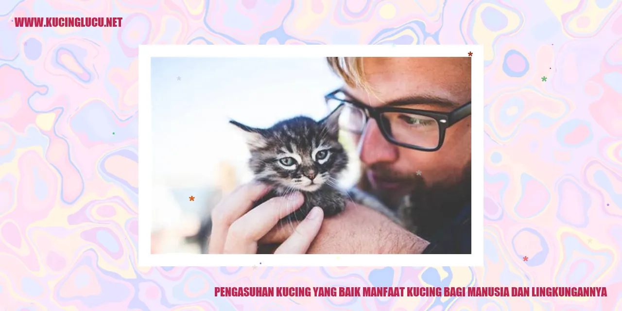 Gambar Kucing