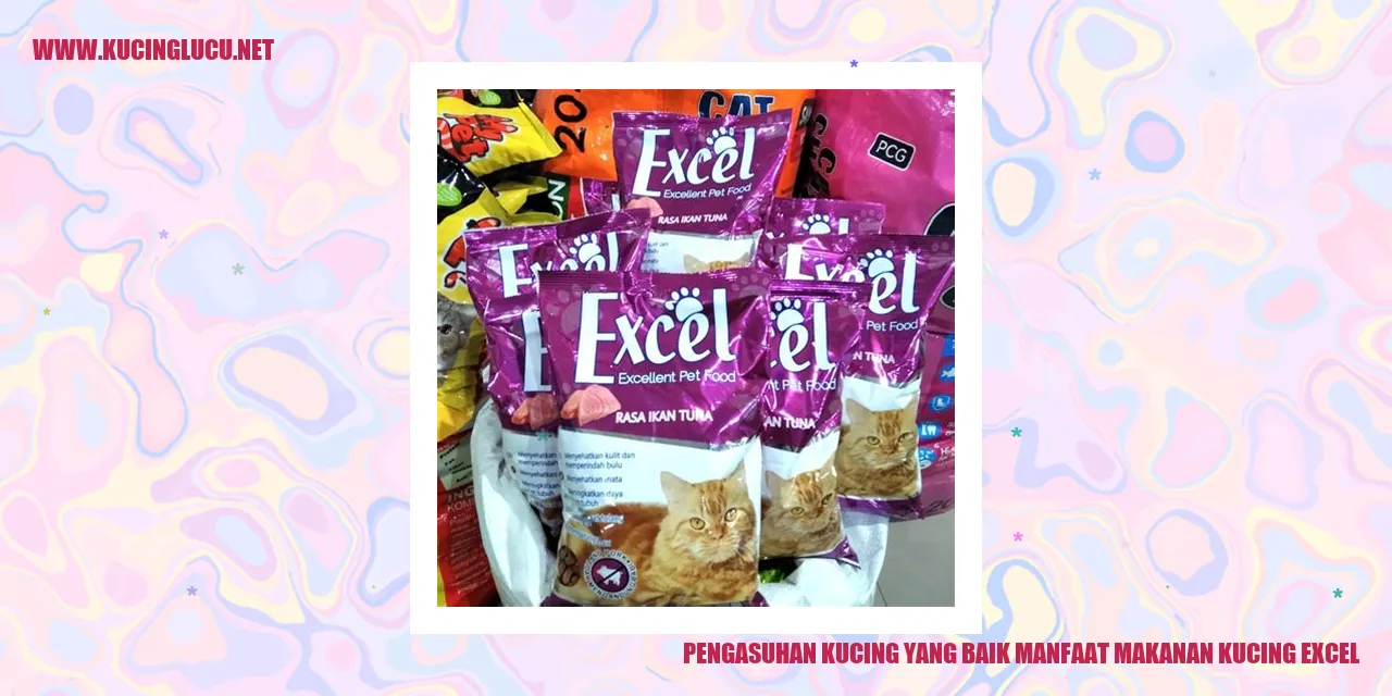 Pengasuhan yang Baik untuk Kucing