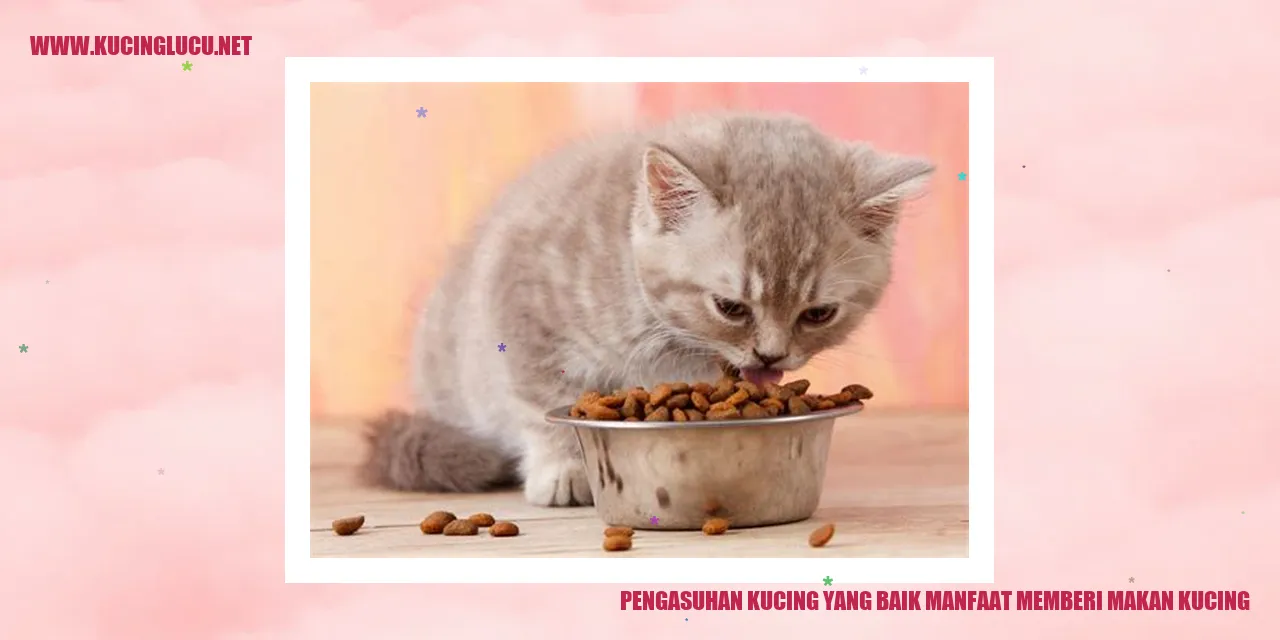 Gambar Kucing