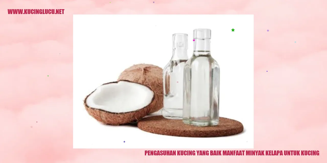 Manfaat Minyak Kelapa untuk Kucing