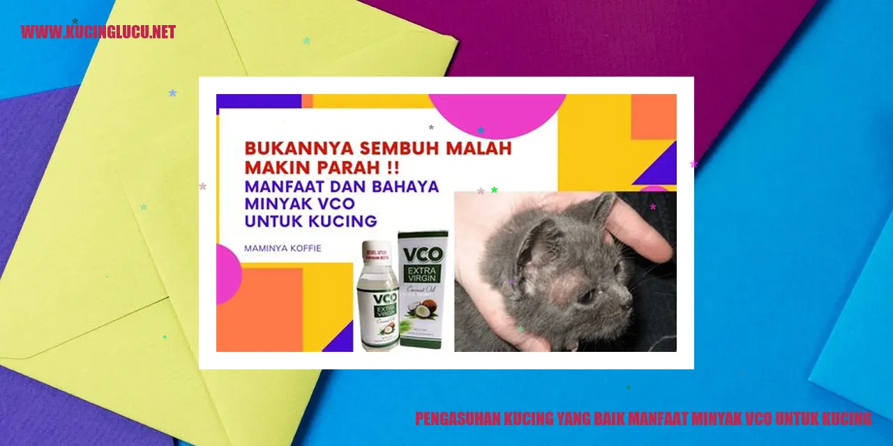 Manfaat Minyak VCO untuk Kucing