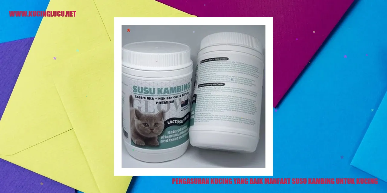 Kucing