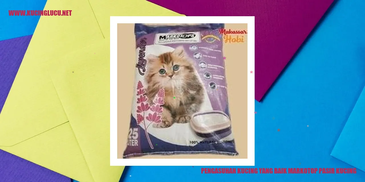 Gambar Kucing