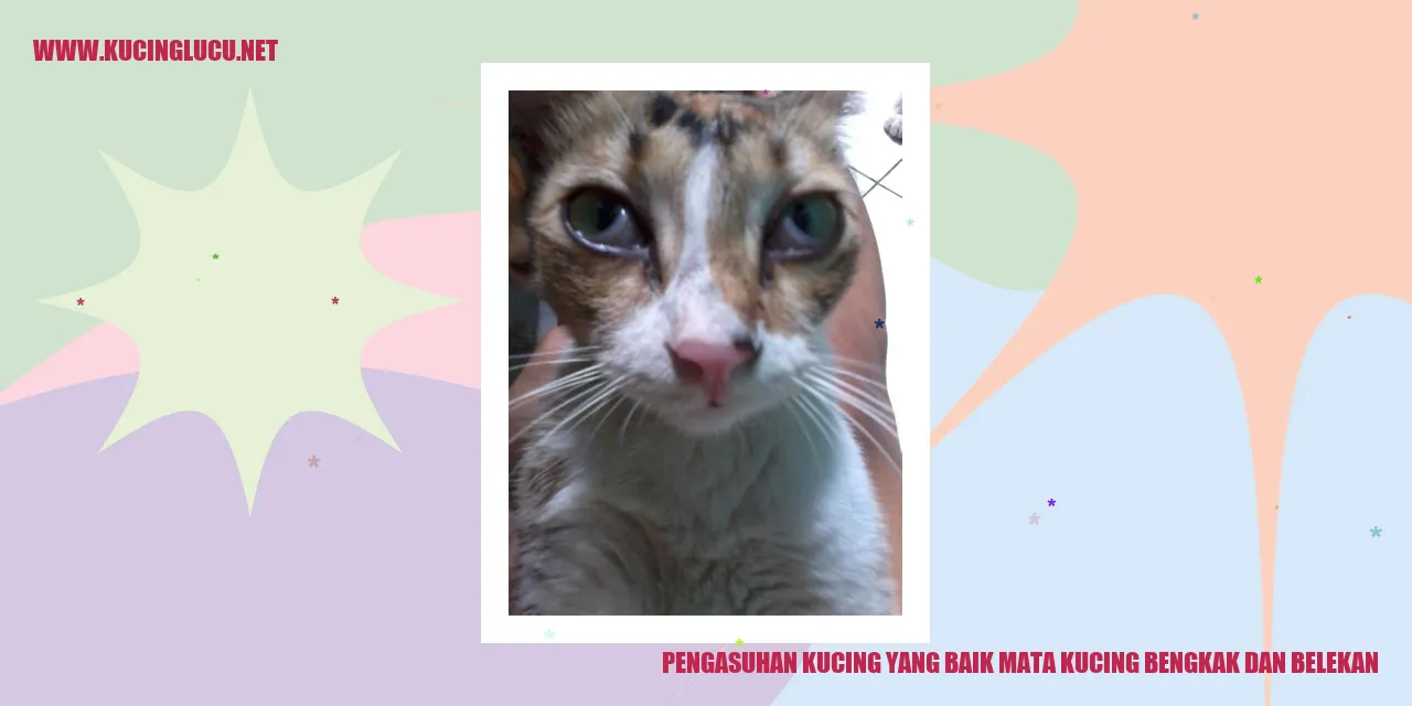 Ilustrasi Kucing dengan Mata Bengkak dan Belekan