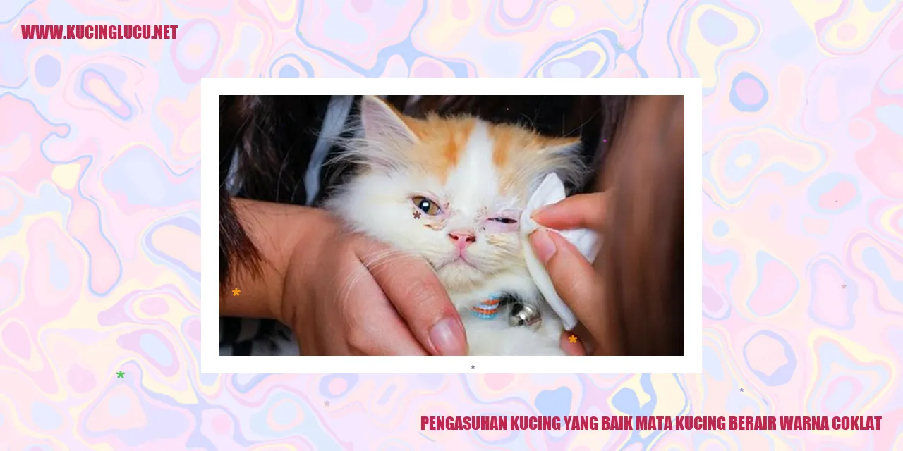 Kucing berair warna coklat