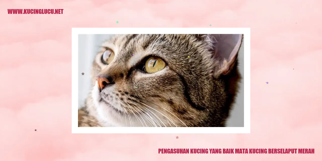 Kucing Mata Berselaput Merah