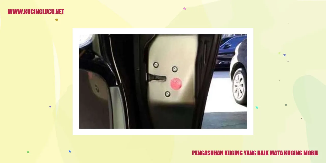 Kucing dengan Kesehatan Mata yang Baik