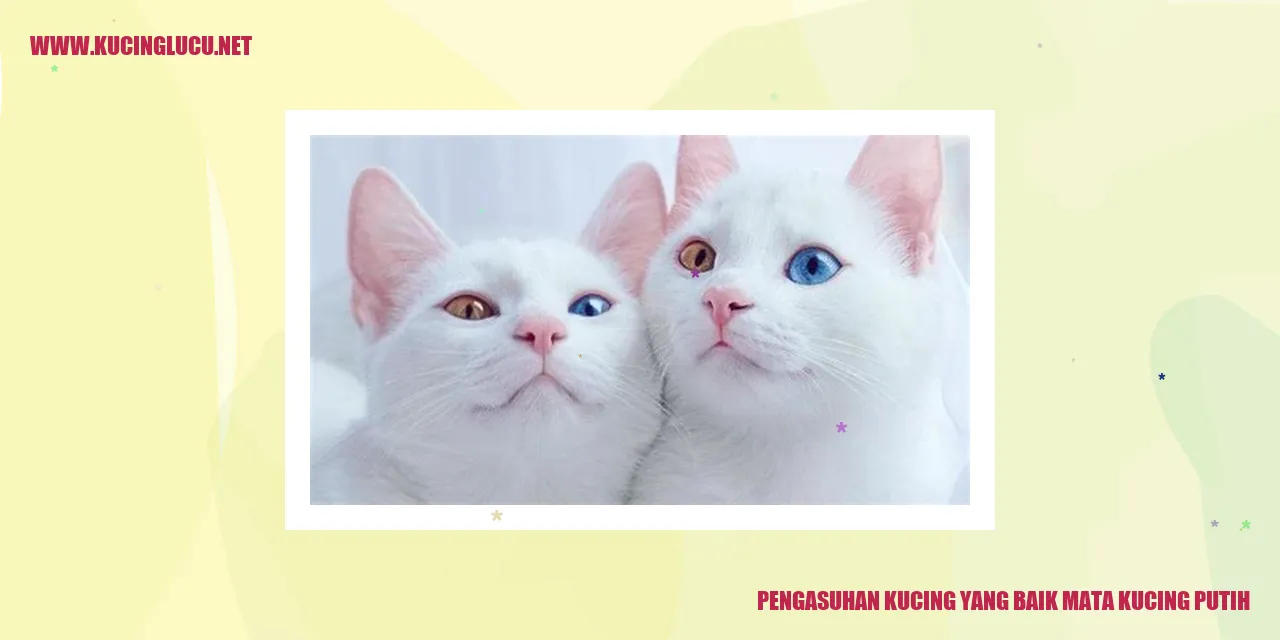 gambar kucing putih