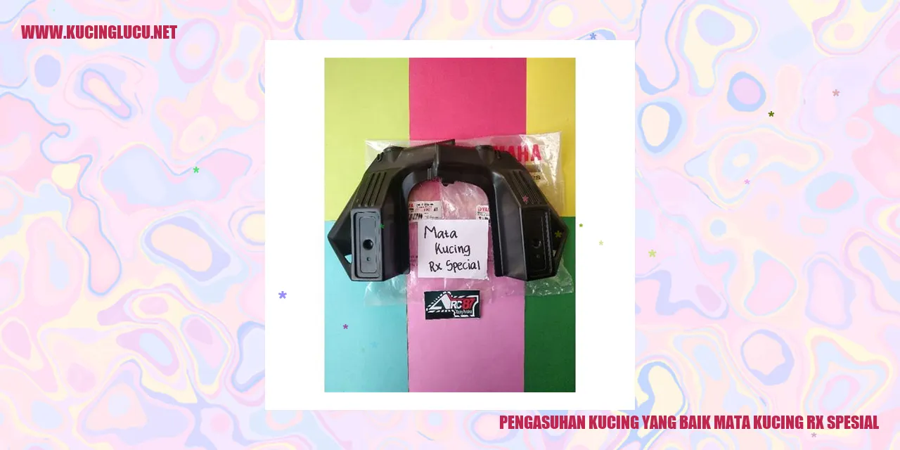 kucing lucu