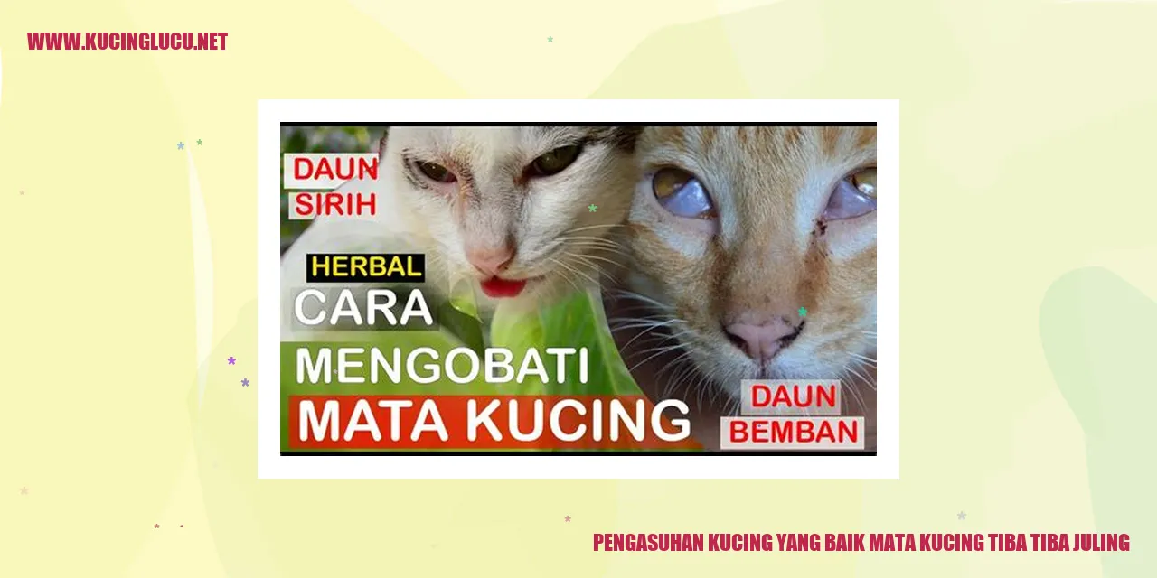 Kucing juling