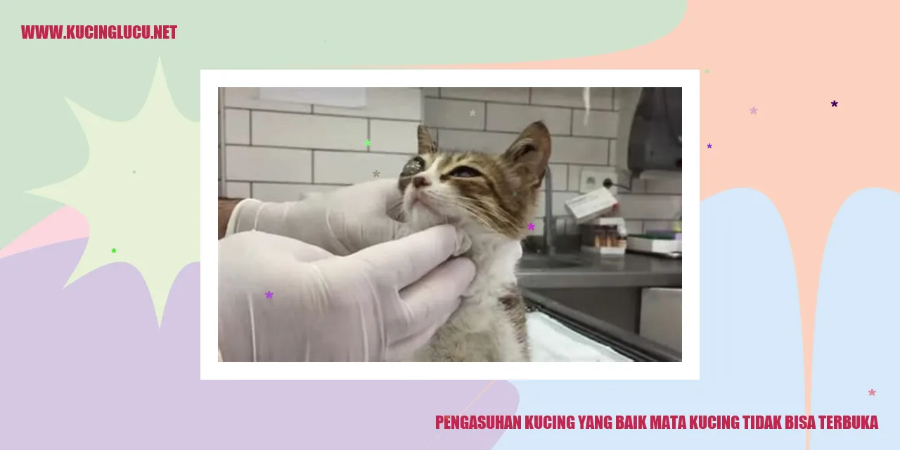 Kucing Mengedipkan Mata