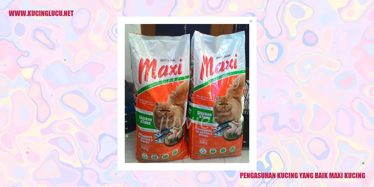kucing mendapatkan makanan seimbang