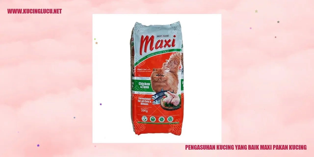 Pengasuhan Kucing yang Baik