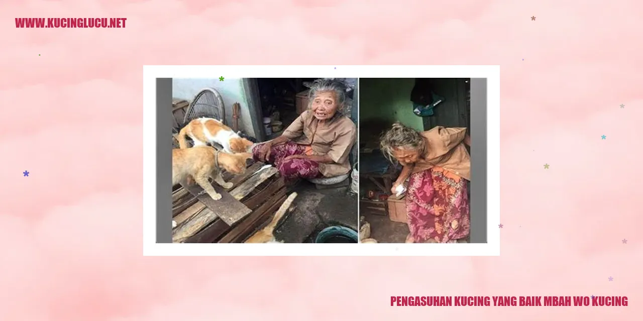 Kucing yang Bahagia
