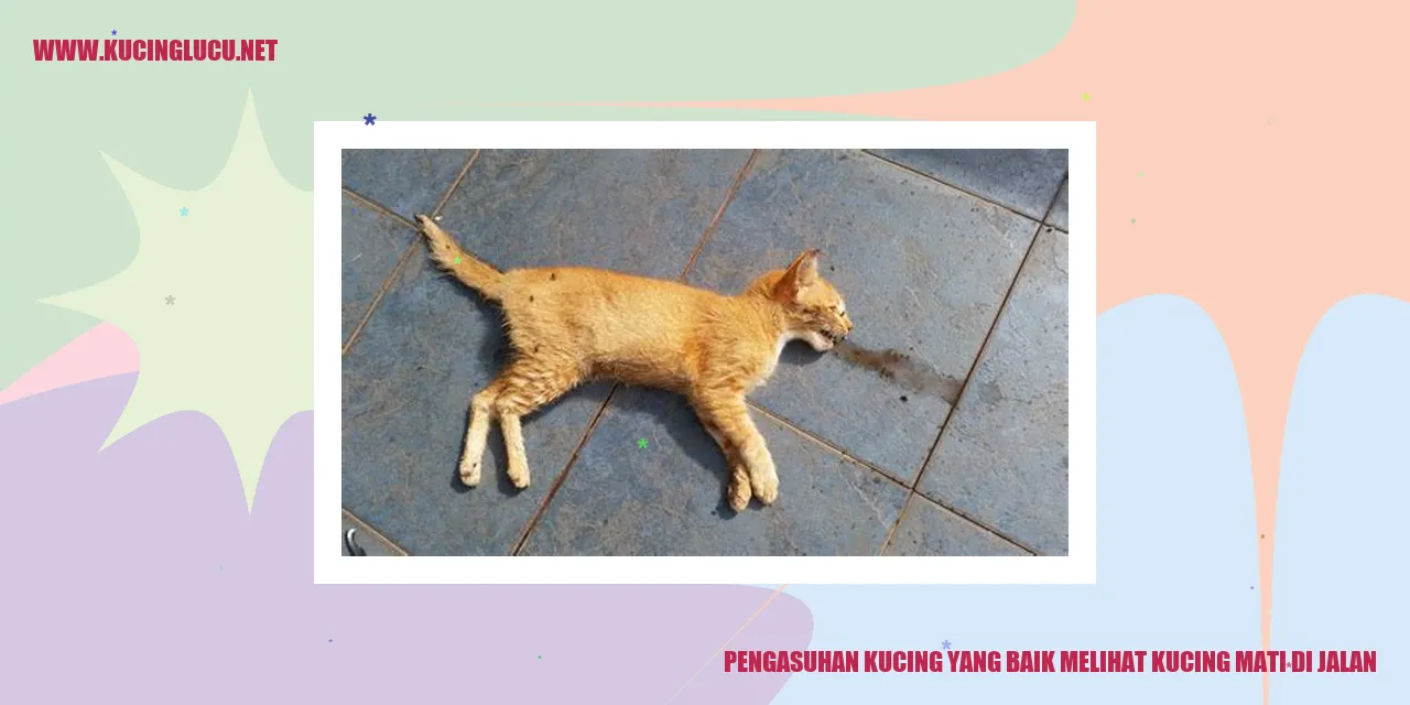 Kucing Mati di Jalan