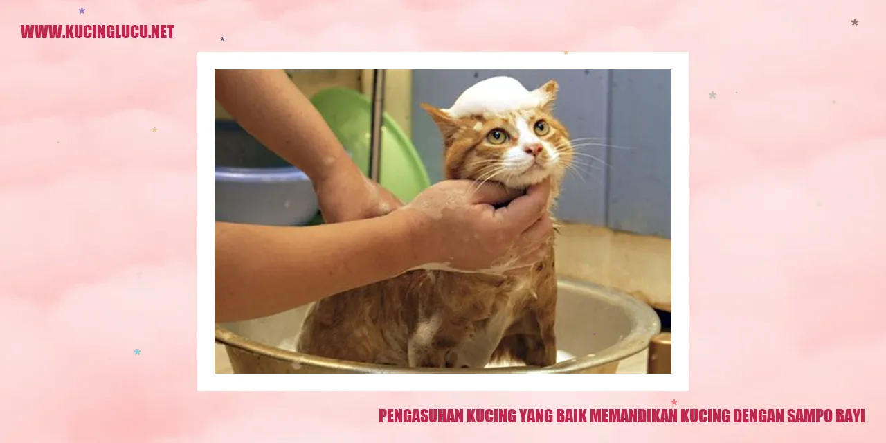 Kucing mandi dengan sampo bayi