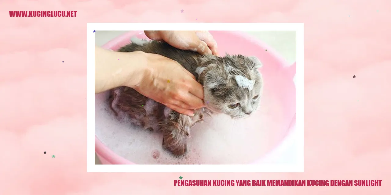 Kucing Menikmati Paparan Sinar Matahari