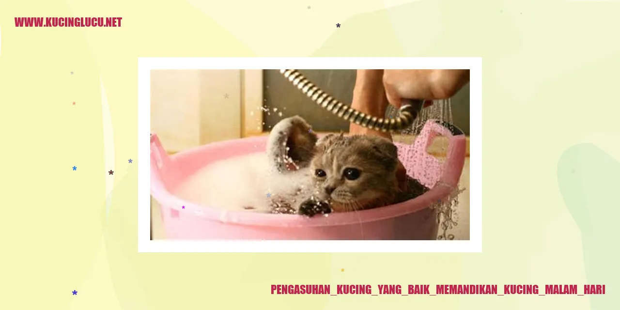 Kucing yang sedang dimandikan