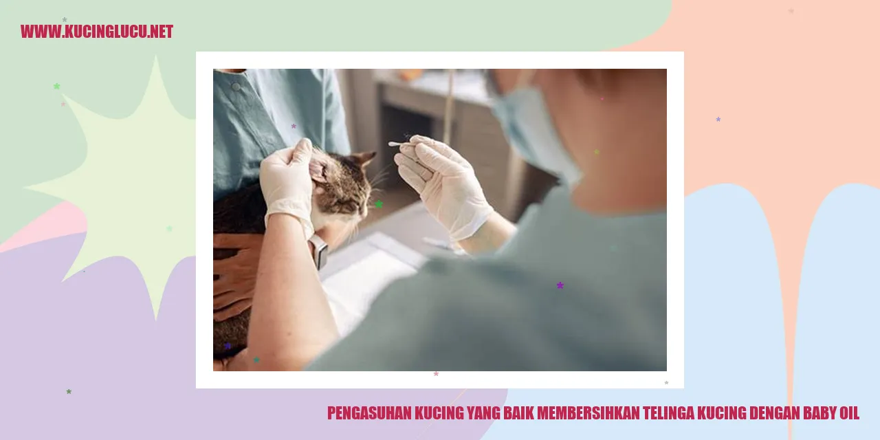 Gambar Kucing Telinga