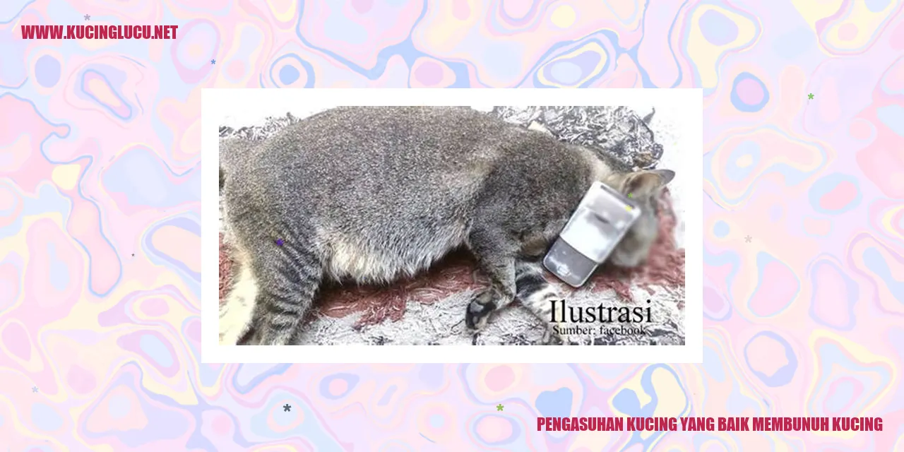 Pentingnya Pengasuhan Kucing yang Tepat demi Kehidupan Mereka