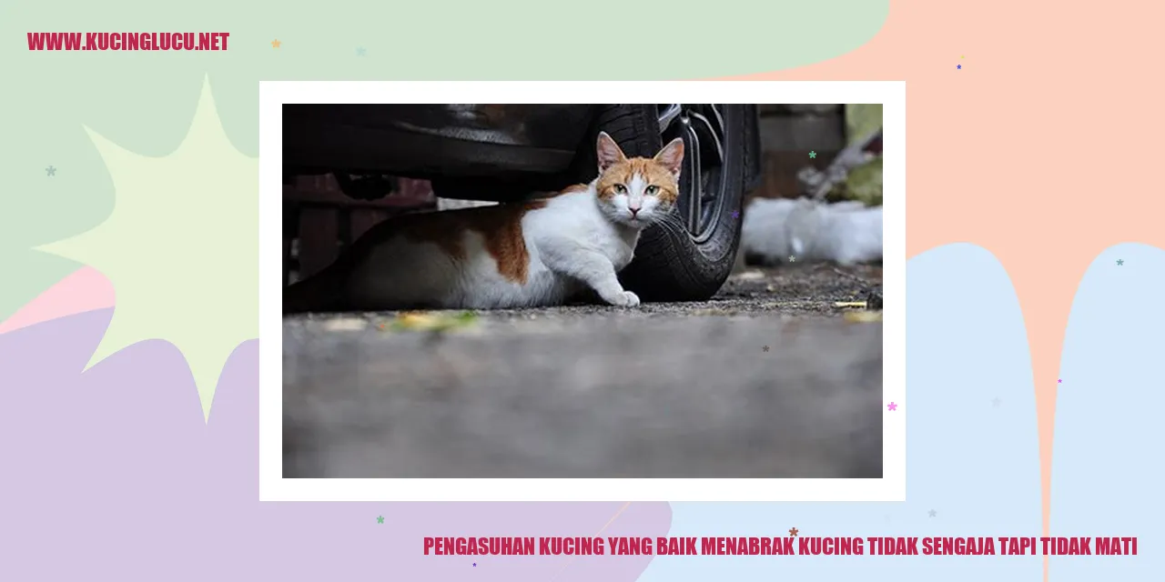 Pengasuhan Kucing yang Baik