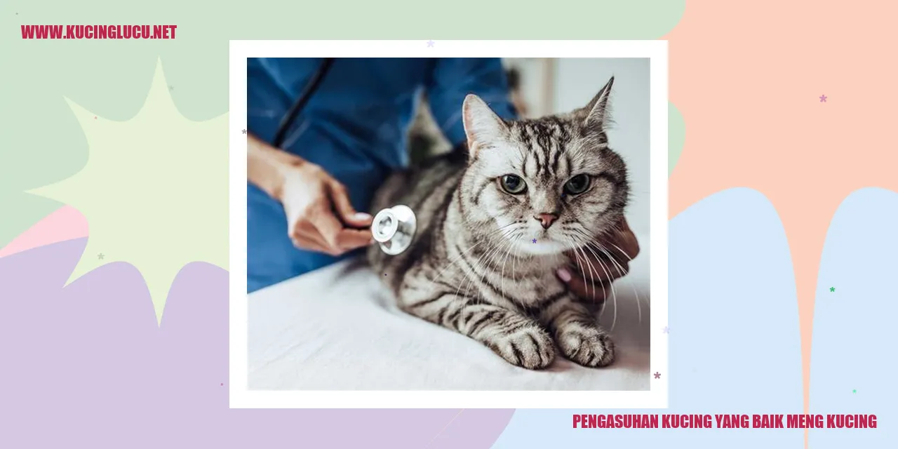 Kucing yang sehat dan bahagia