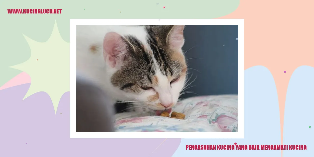 Kucing yang mengamati dengan baik