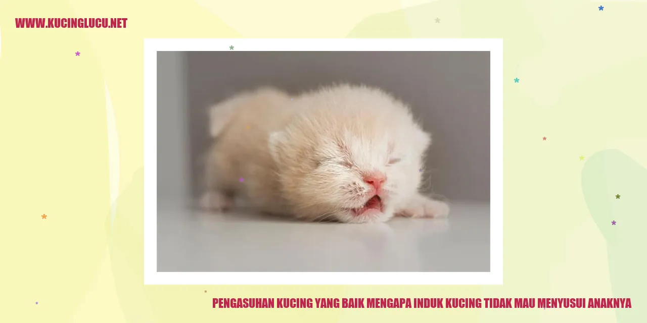 Induk kucing menolak menyusui