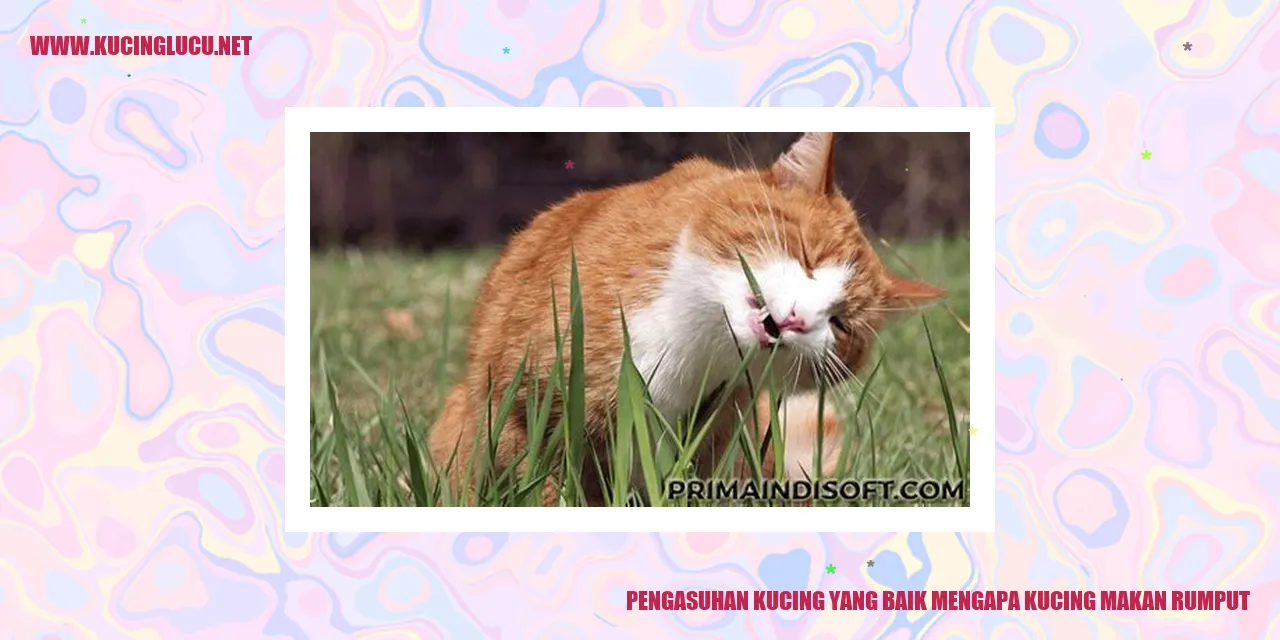 gambar kucing makan rumput