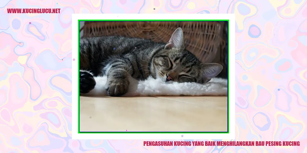 Pengasuhan Kucing yang Baik menghilangkan bau pesing kucing