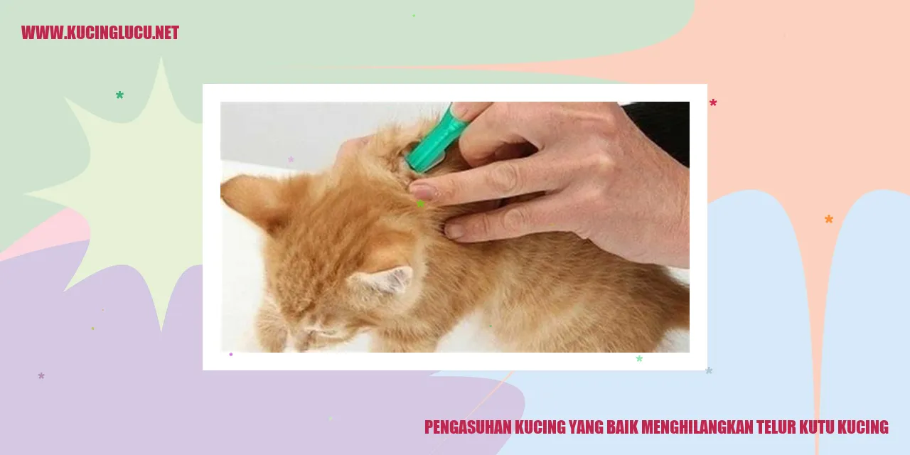 Menghilangkan Telur Kutu Kucing dengan Pengasuhan Kucing yang Baik