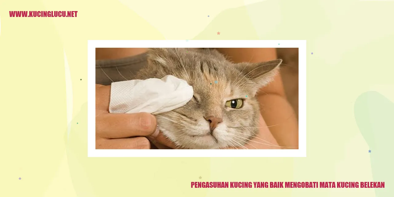 Kucing Belekan
