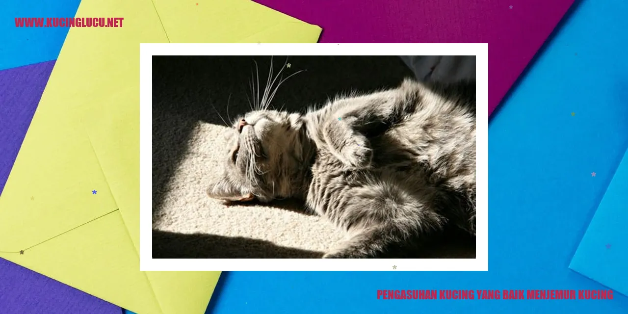 Pengasuhan Kucing yang Baik menjemur kucing