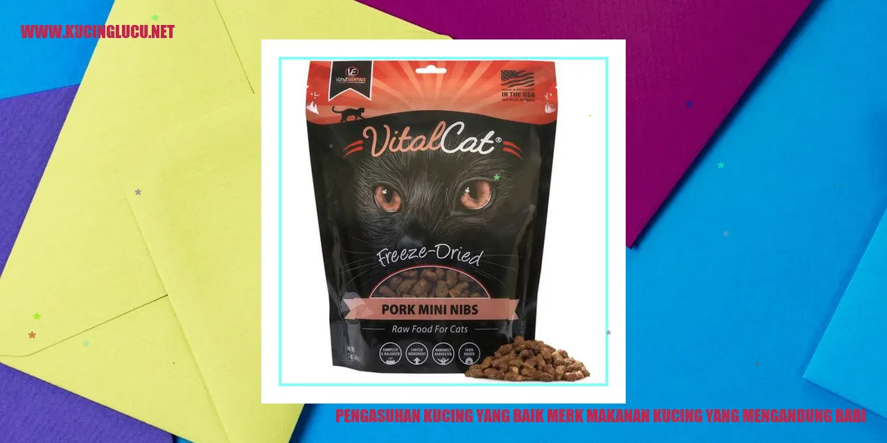 Makanan Kucing yang Sehat