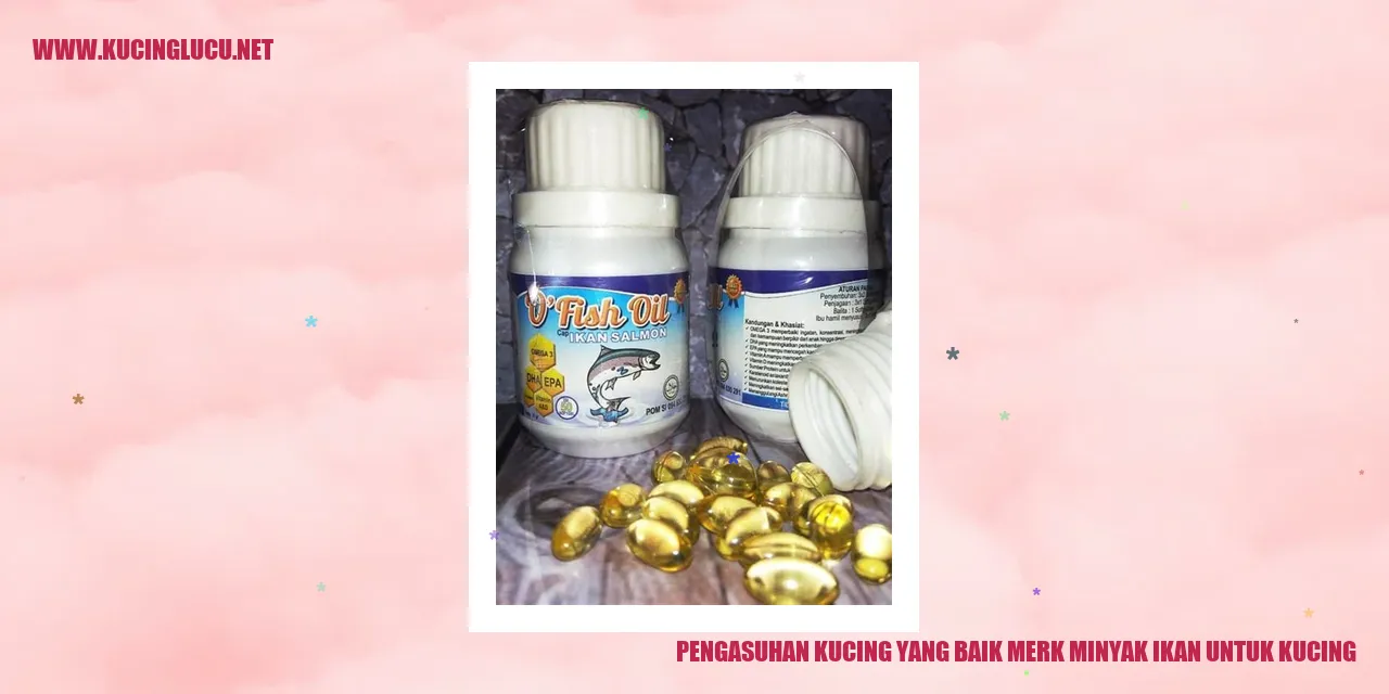 Minyak Ikan untuk Kucing