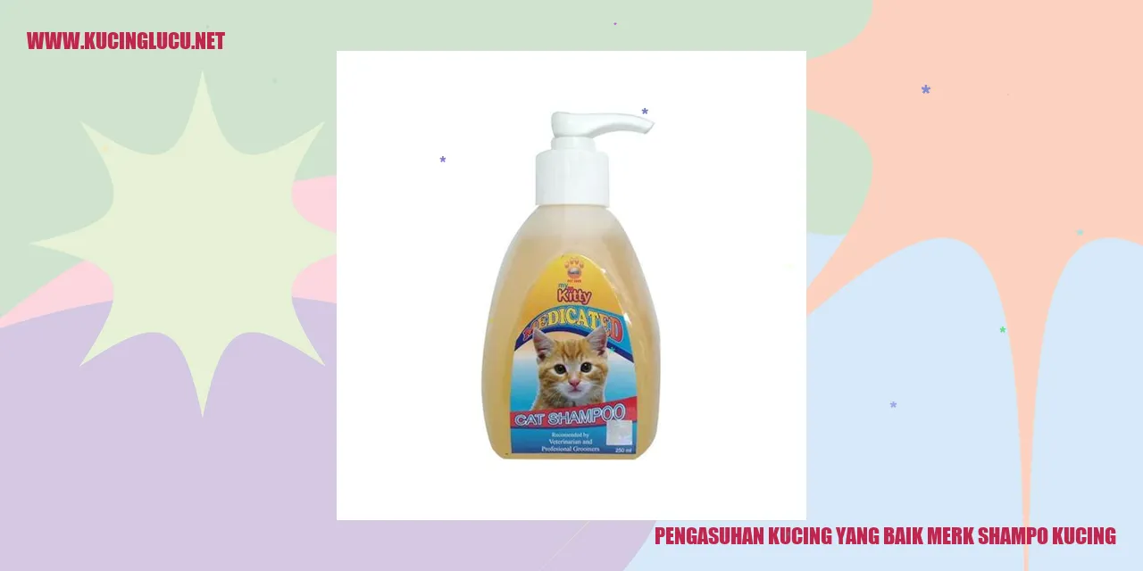 Kucing yang Sehat dan Bersih