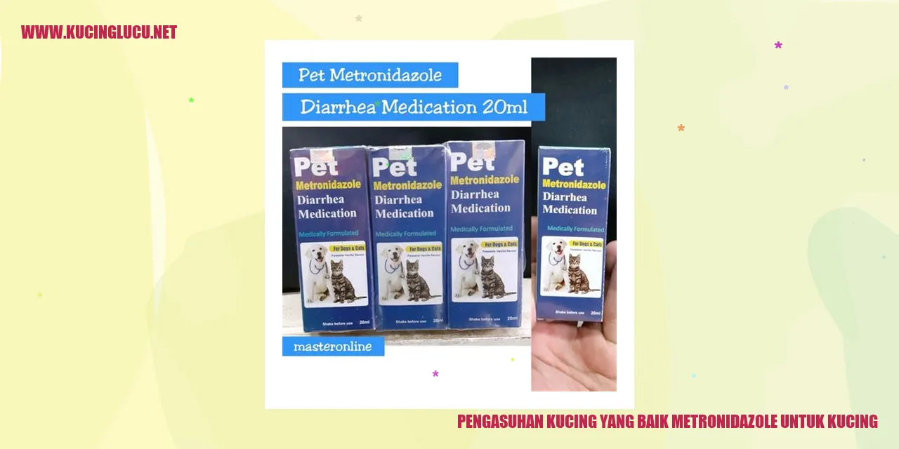 Pengasuhan Kucing
