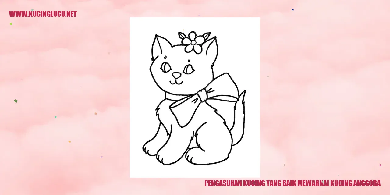 Gambar kucing anggora
