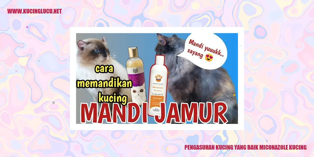 Kucing yang Sehat dan Bahagia