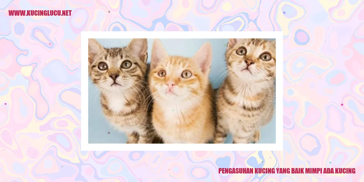 kucing yang menggemaskan