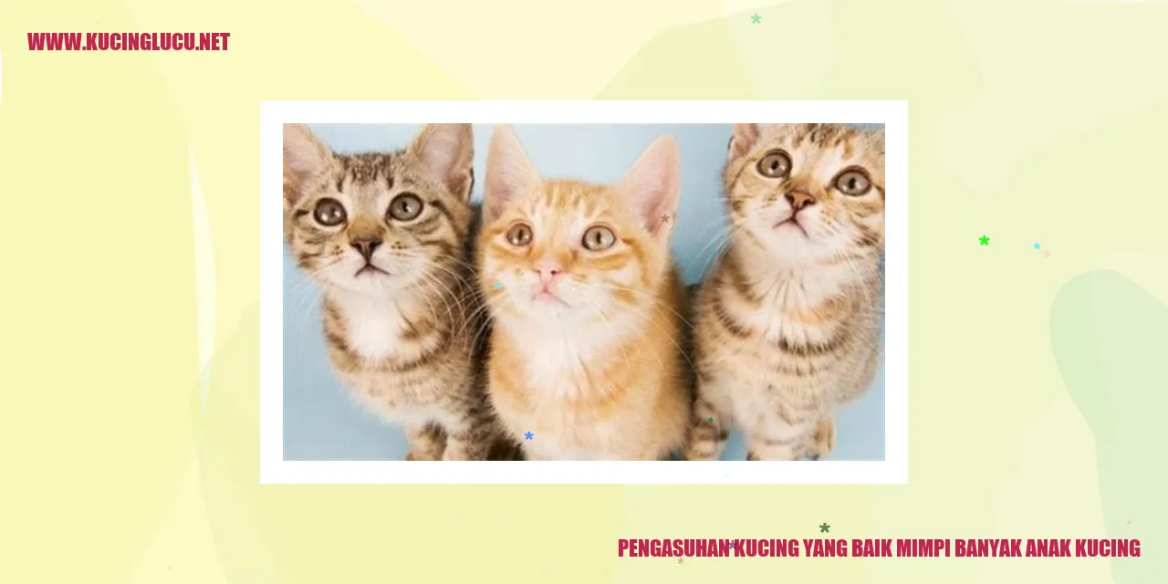 Gambar Kucing
