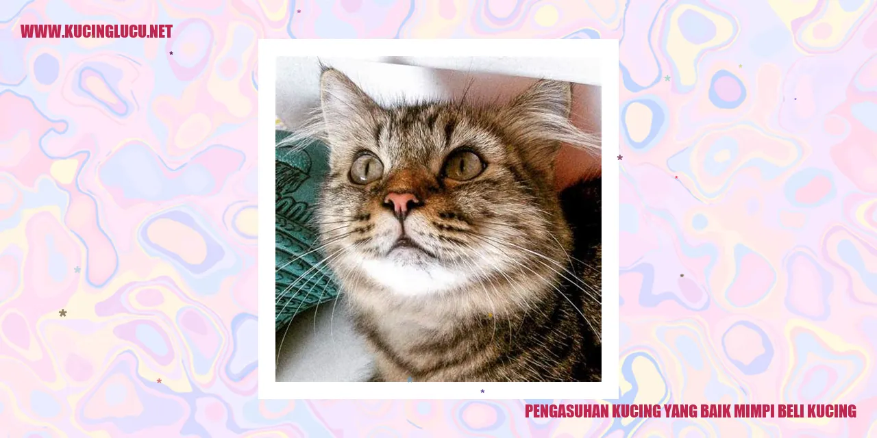 Pengasuhan Kucing yang Baik mimpi beli kucing