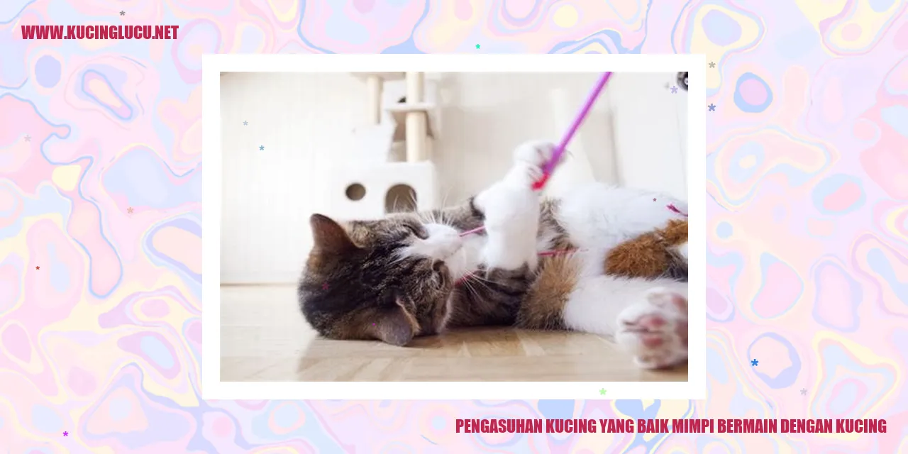 Pengasuhan Kucing yang Baik