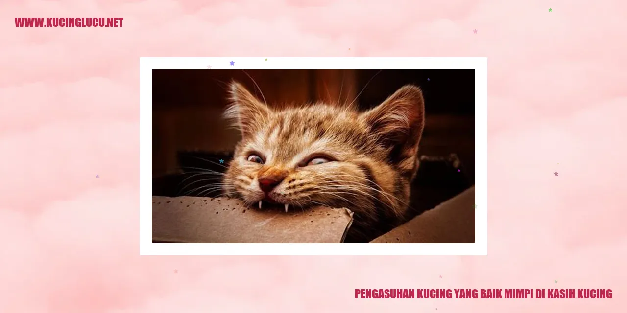 Pengasuhan Kucing yang Baik mimpi di kasih kucing