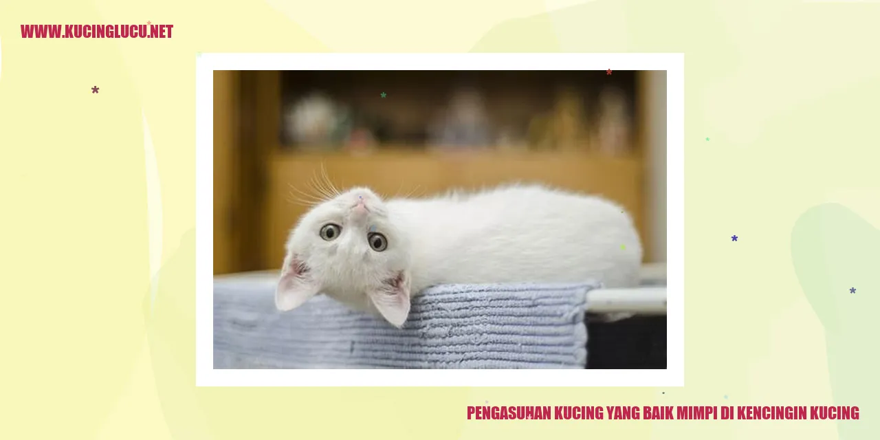 gambar kucing yang lucu dan menggemaskan