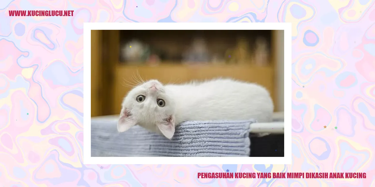 Gambar Kucing